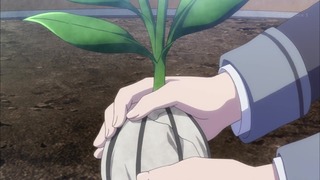 cap (1)