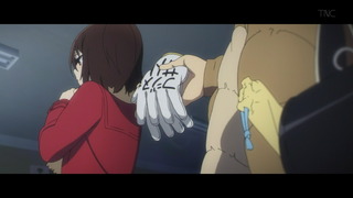 cap (66)