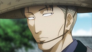cap (12)