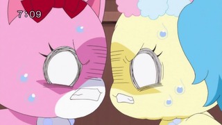 cap (48)