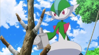 xy (165)
