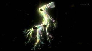 cap (15)