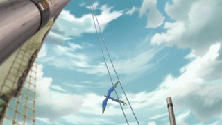 cap (55)