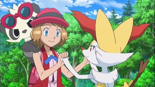xy (116)