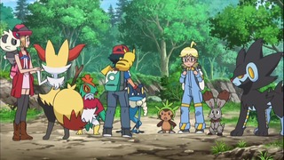 xy (117)