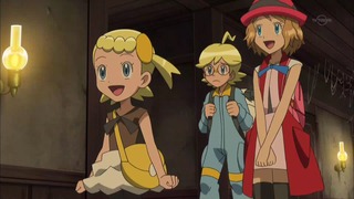 xy (31)