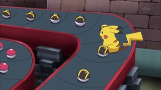 xy (80)