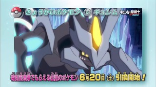 xy (191)