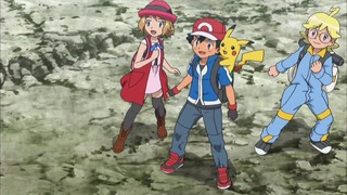 xy (137)
