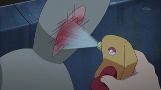xy (85)