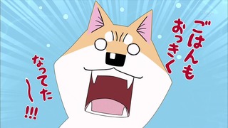 muco (12)