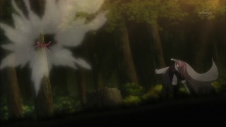 cap (27)
