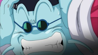 cap (13)