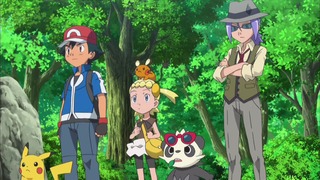xy (97)