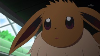 xy (129)