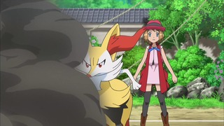 xy (154)