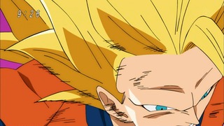 cap (238)