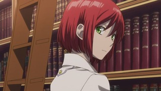 cap (163)