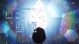 cap (17)