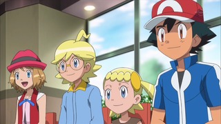 xy (54)