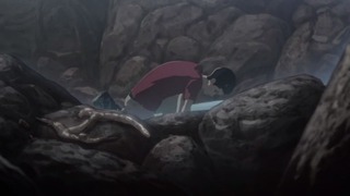 cap (101)