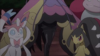 xy (74)