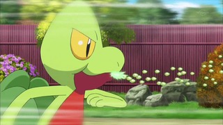 xy (144)