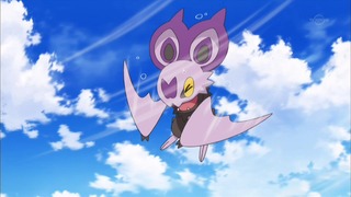 xy (11)