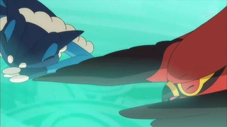 xy (131)