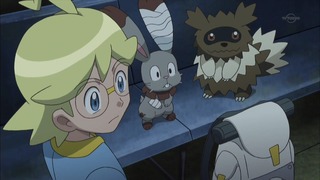 xy (97)