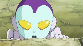 cap (16)
