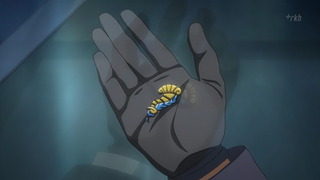 cap (32)
