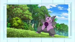 xy (166)