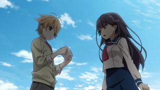 cap (31)