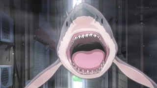 cap (33)