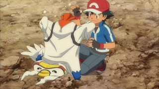 xy (372)