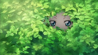 cap (12)