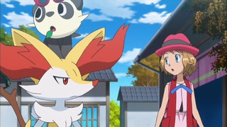 xy (39)