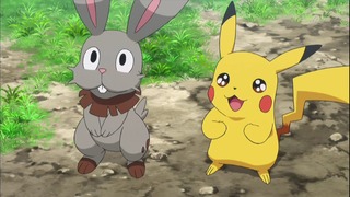 xy (47)