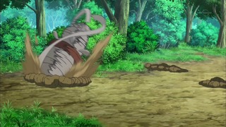 xy (85)