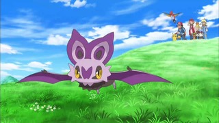 xy (197)