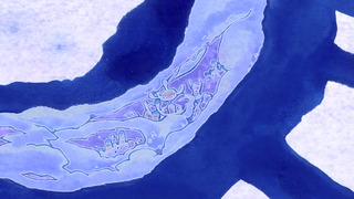 1415835310-0651-001