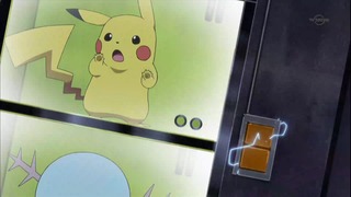 xy (87)