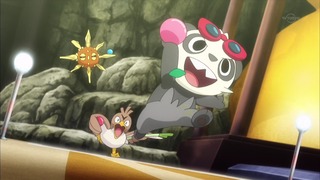 xy (51)