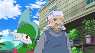 xy (149)