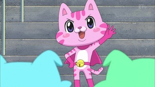 cap (15)