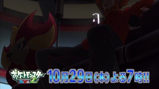 xy (238)