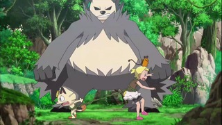 xy (202)