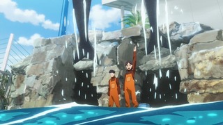 cap (145)