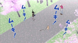 muco (59)
